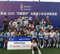  羽毛球淘汰赛编排 
