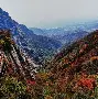  嵩山雷霆队鏖战徽州金雕队，体操预选赛火力全开，转换速度占优。精神属性拉满
